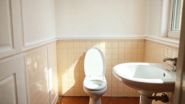 Découvrez des astuces pour déboucher rapidement vos wc à Toulouse